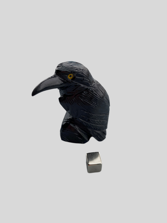 Onyx Sort Ravn - 6 cm (mellem)