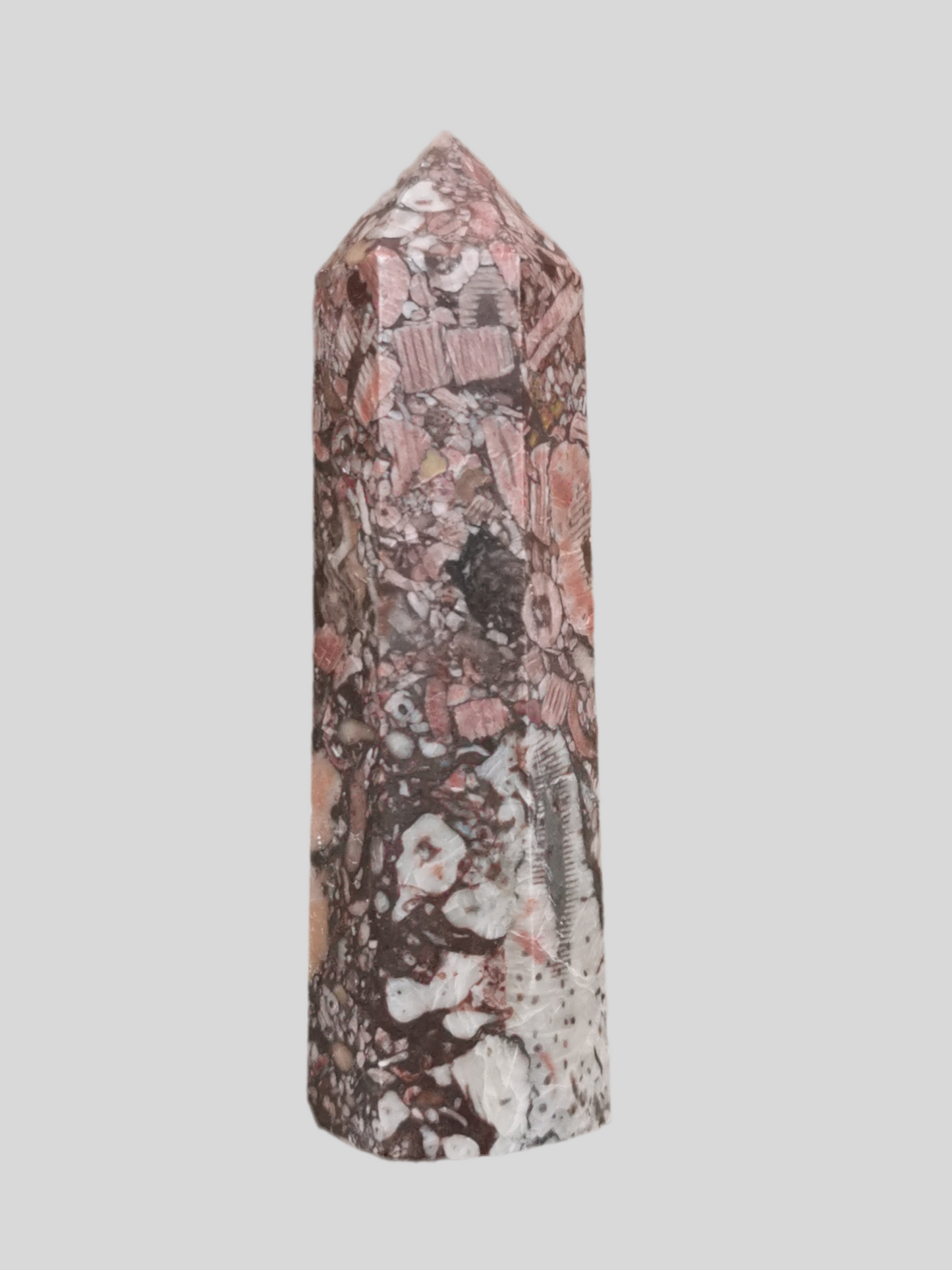 Chrinoid Fossil spids