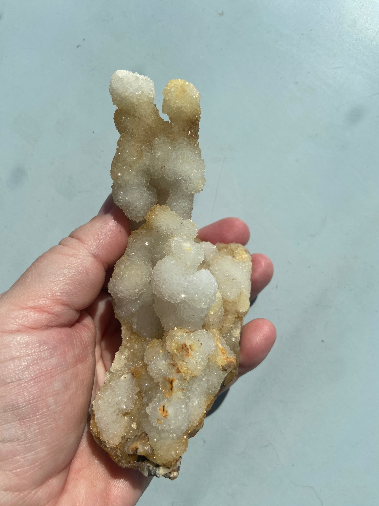 Kaktus Spirit kvarts