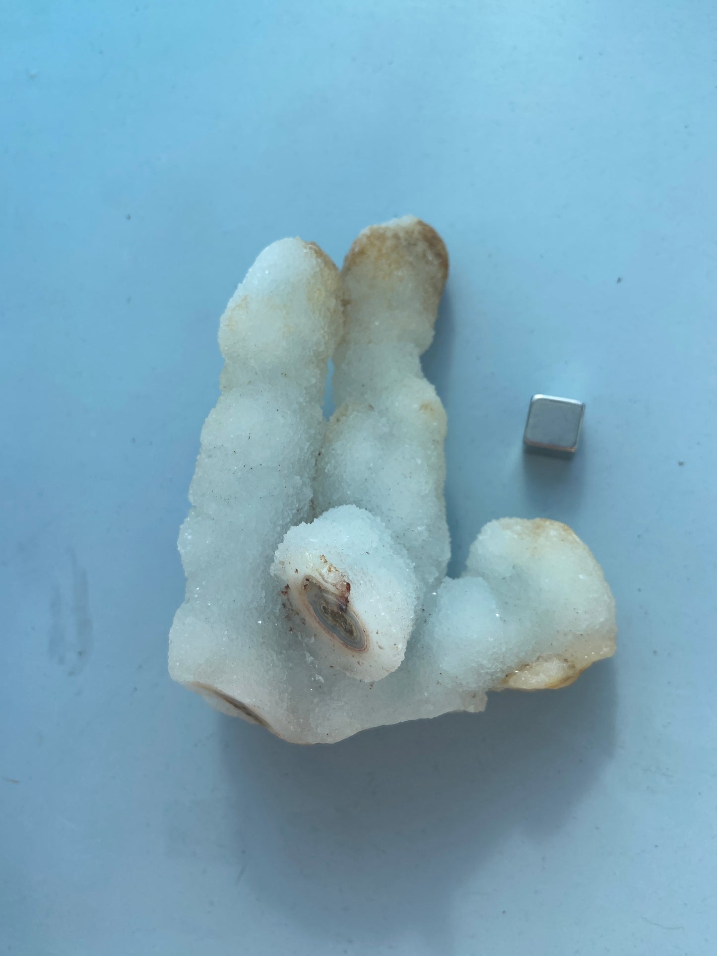 Kaktus Spirit kvarts