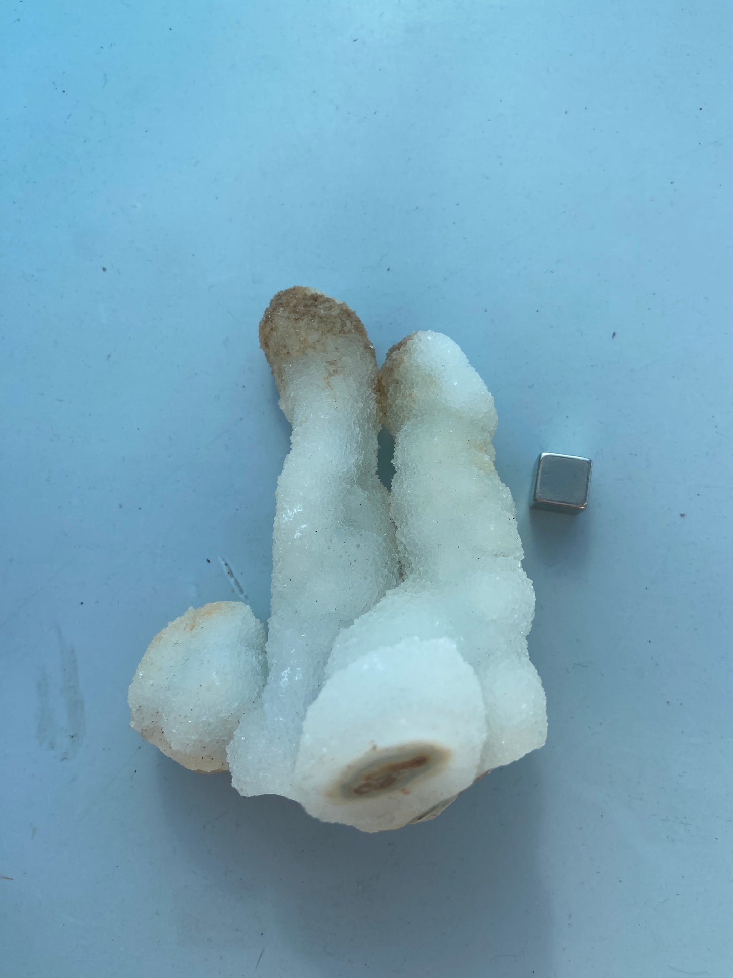 Kaktus Spirit kvarts