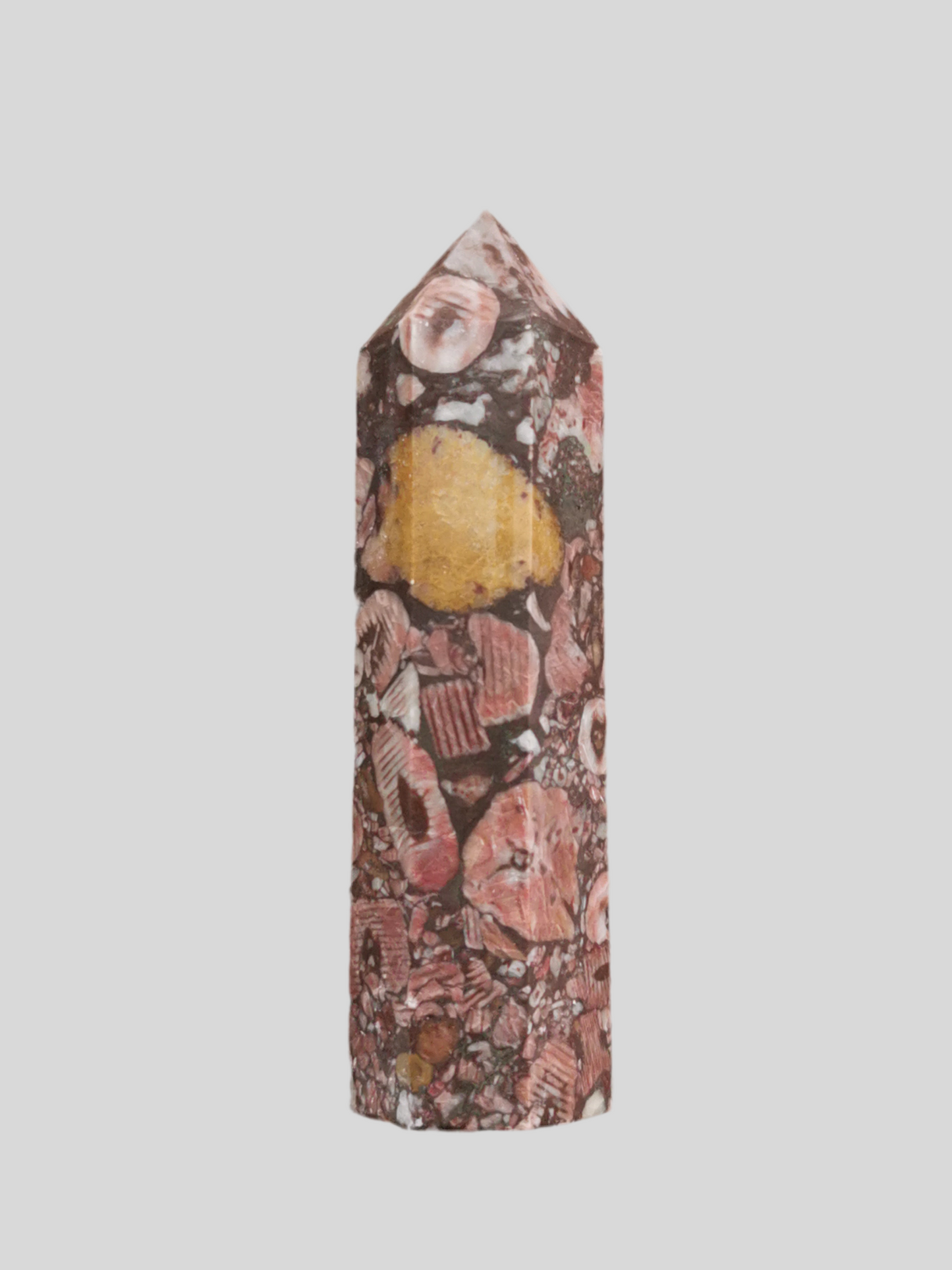 Chrinoid Fossil spids