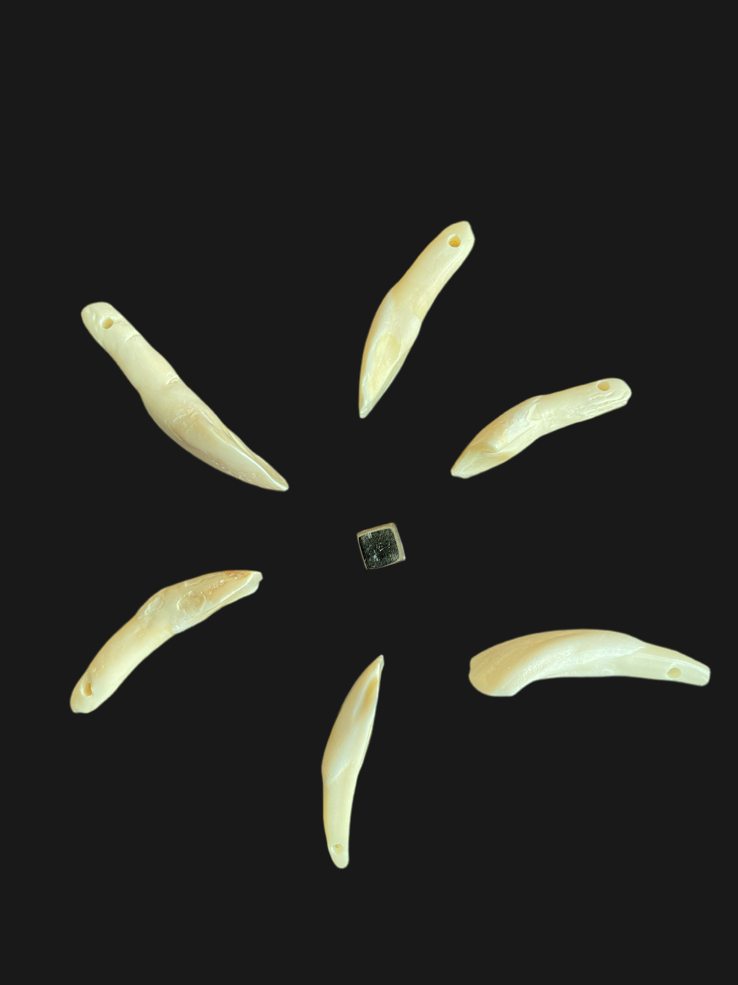 Bøffeltand Vedhæng