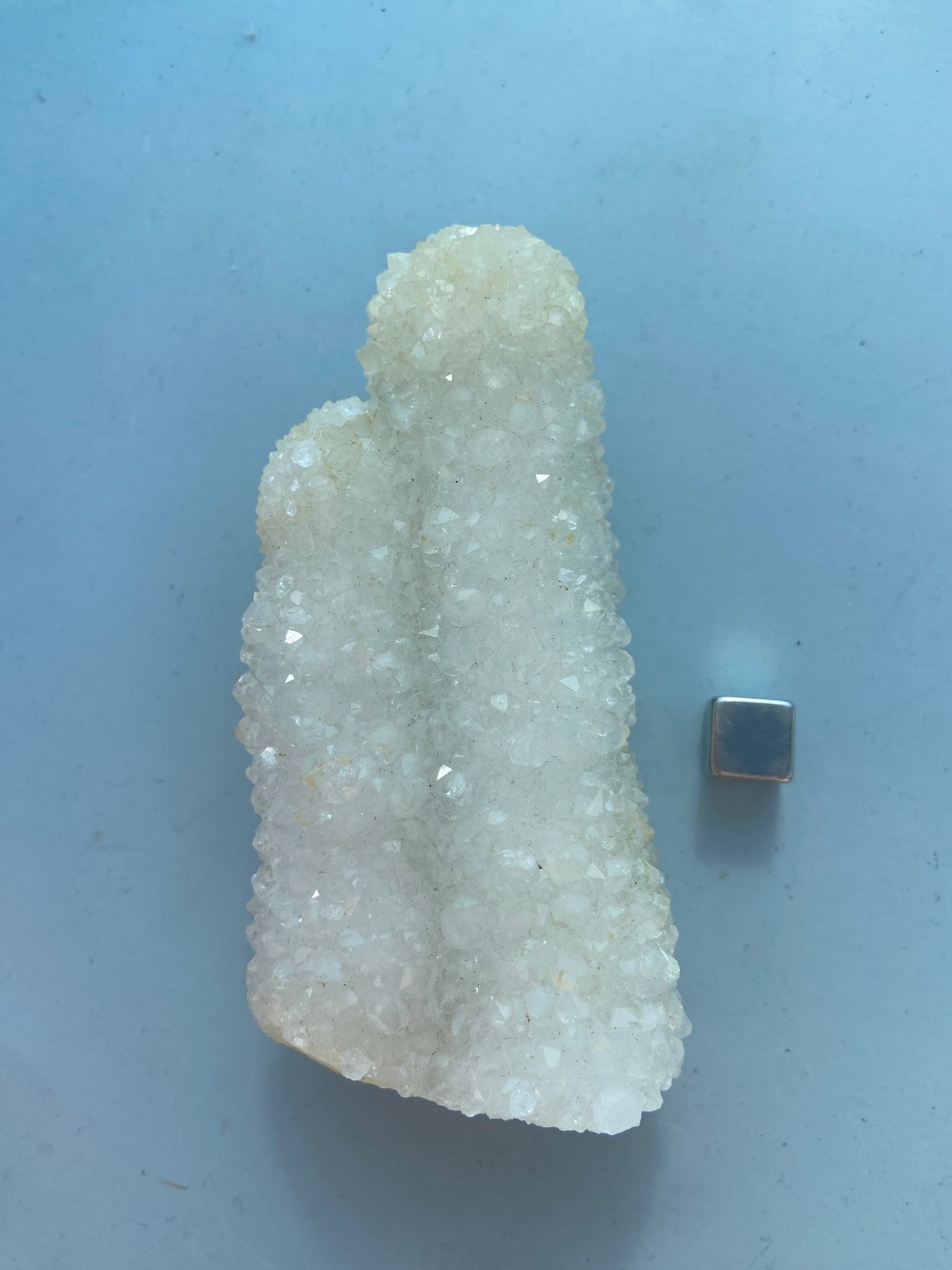 Kaktus Spirit kvarts