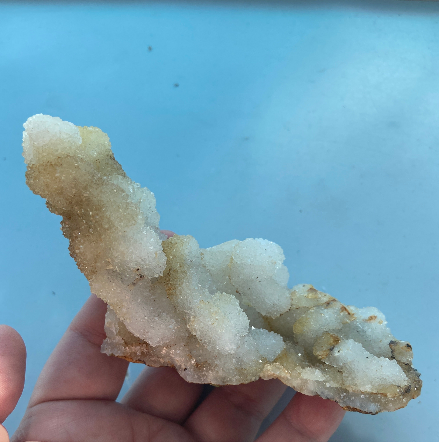 Kaktus Spirit kvarts