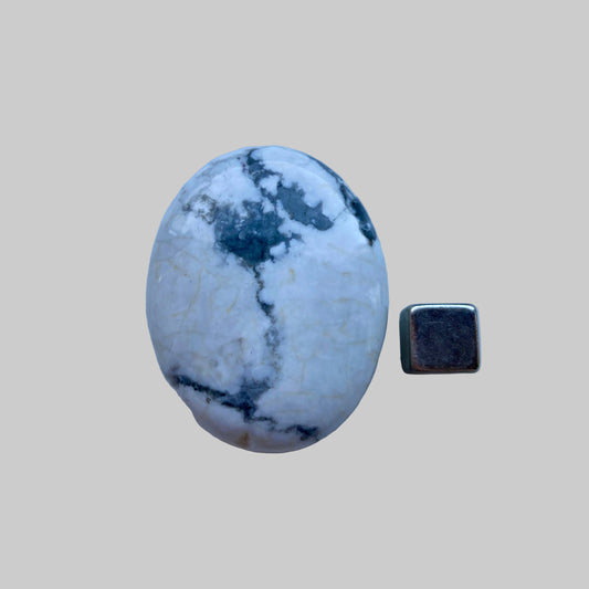 Howlit Hvid palmstone