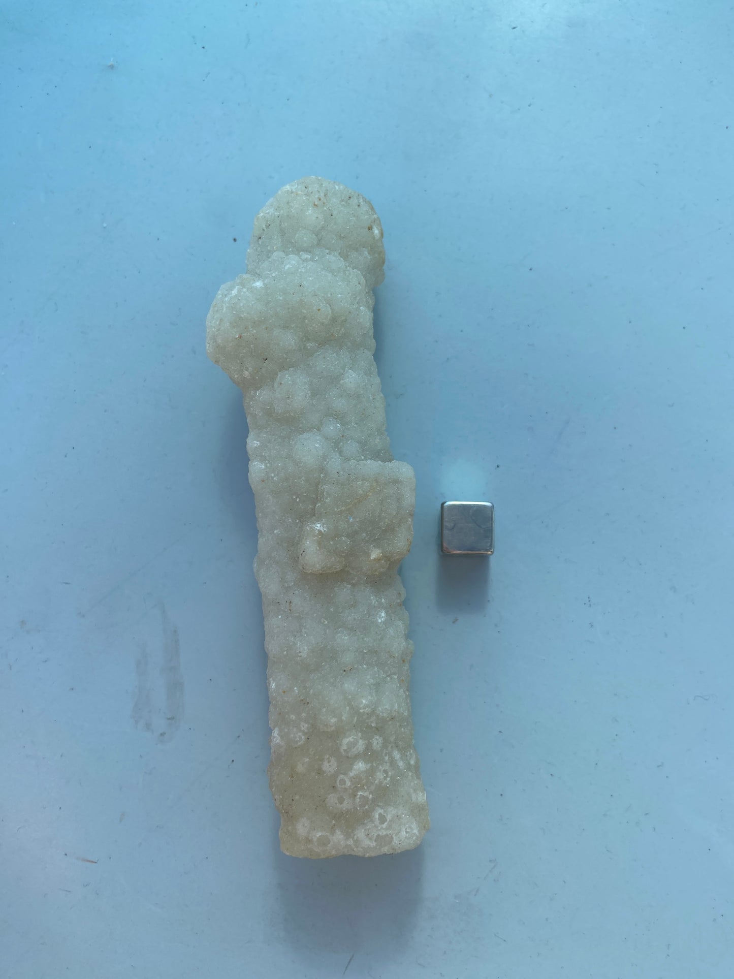 Kaktus Spirit kvarts