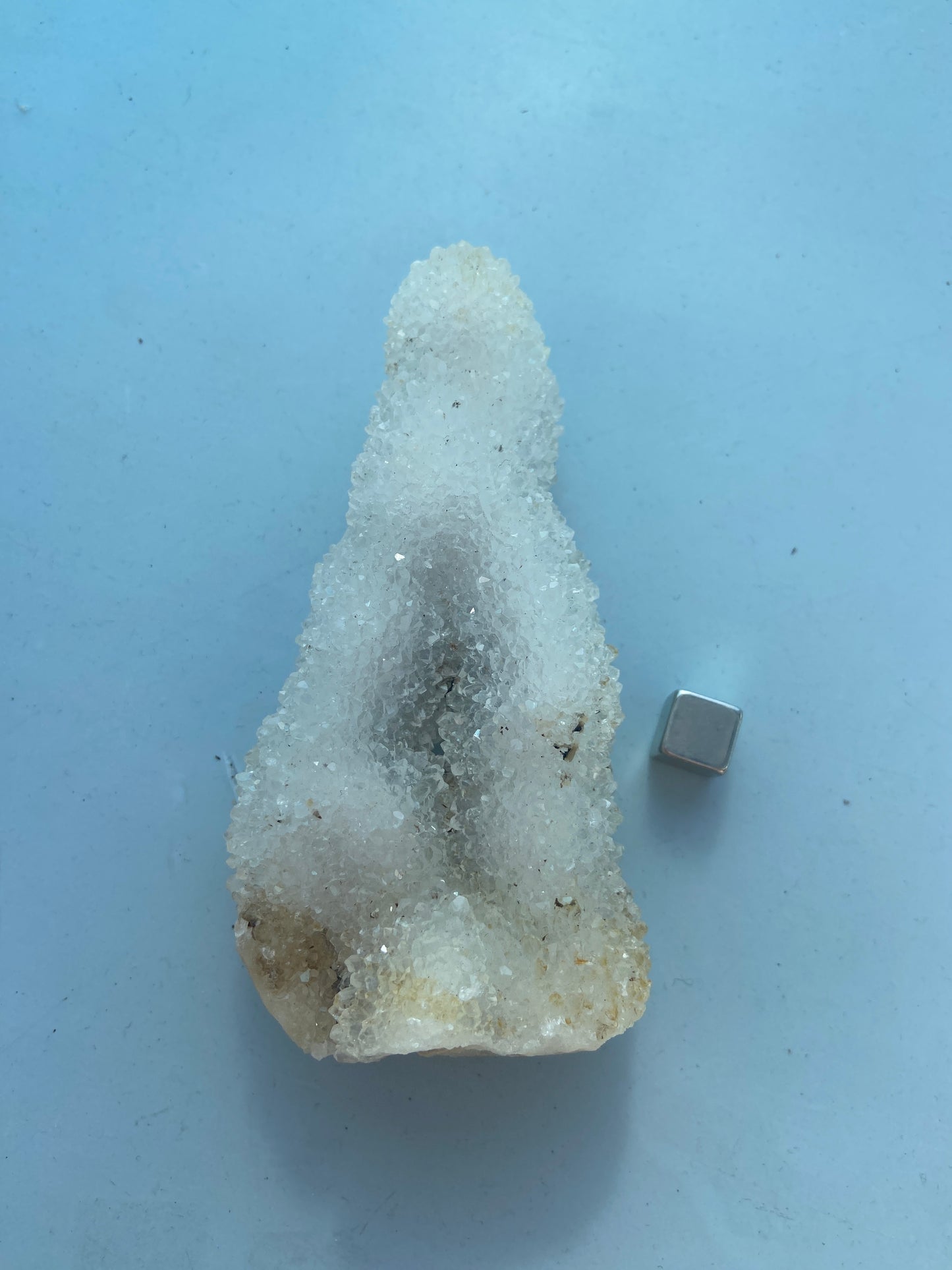 Kaktus Spirit kvarts