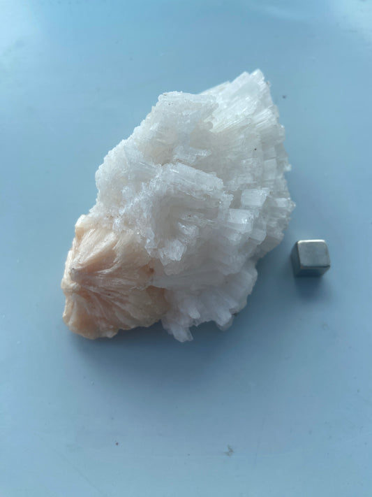 Skolezit
