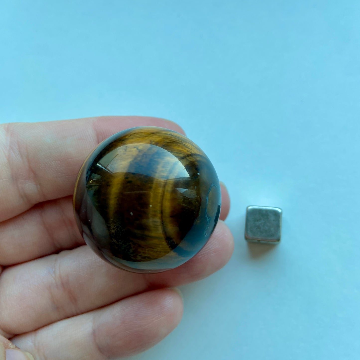 Tigerøje m/falkeøje Kugle
