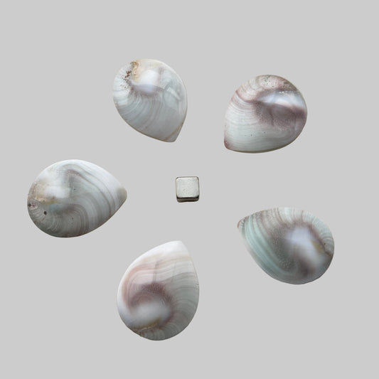 Shivas Øje Figur Spids