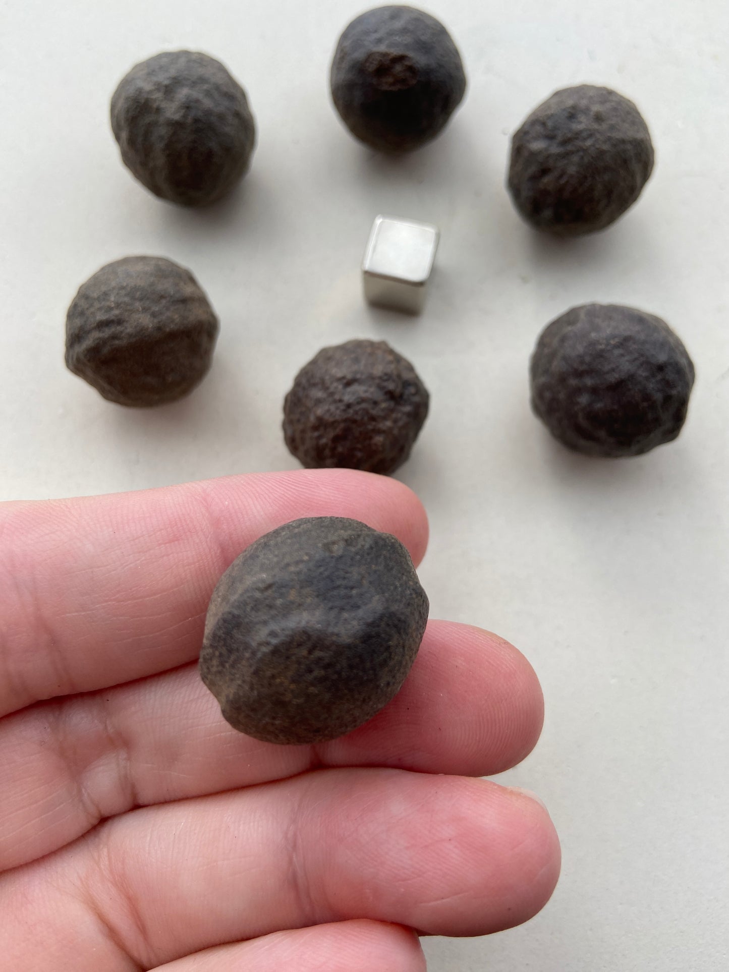 Moqui Balls str. stor