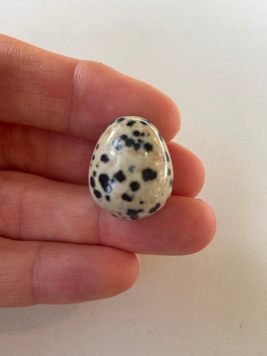 Dalmatiner æg