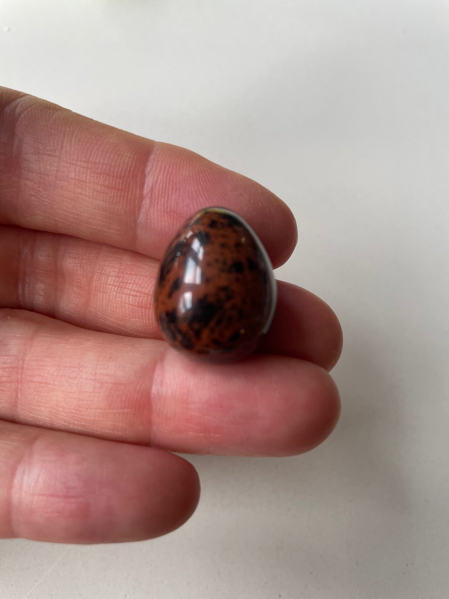 Obsidian Mahogni æg