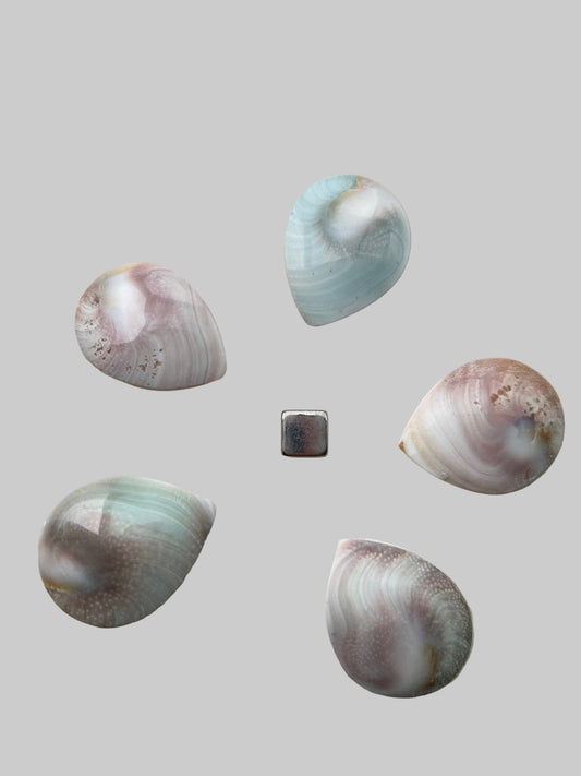 Shivas Øje Figur Spids