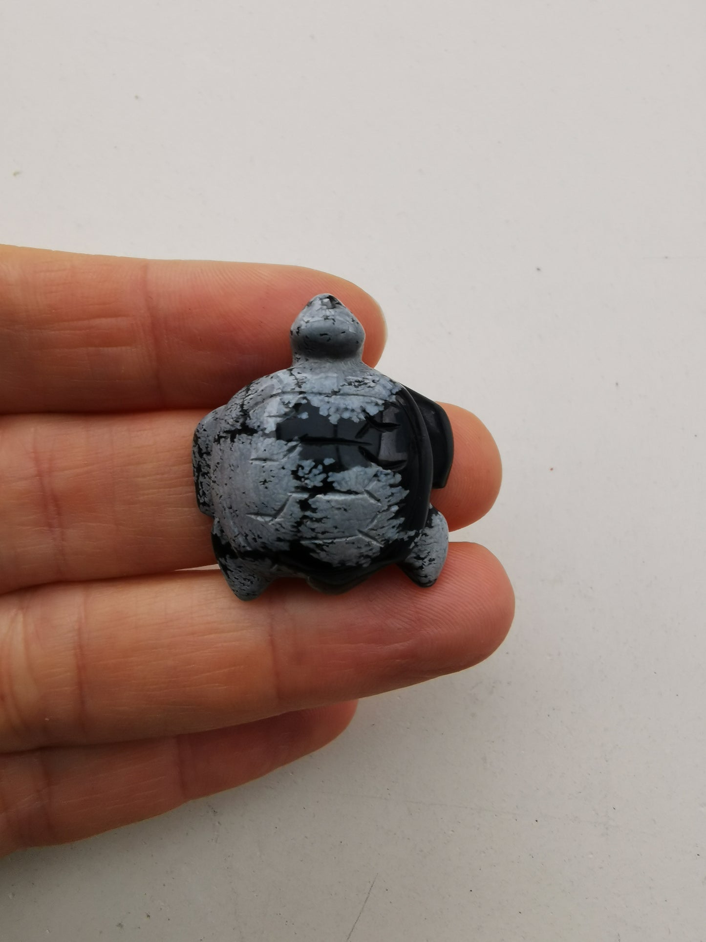 Obsidian Snefnug skildpadde