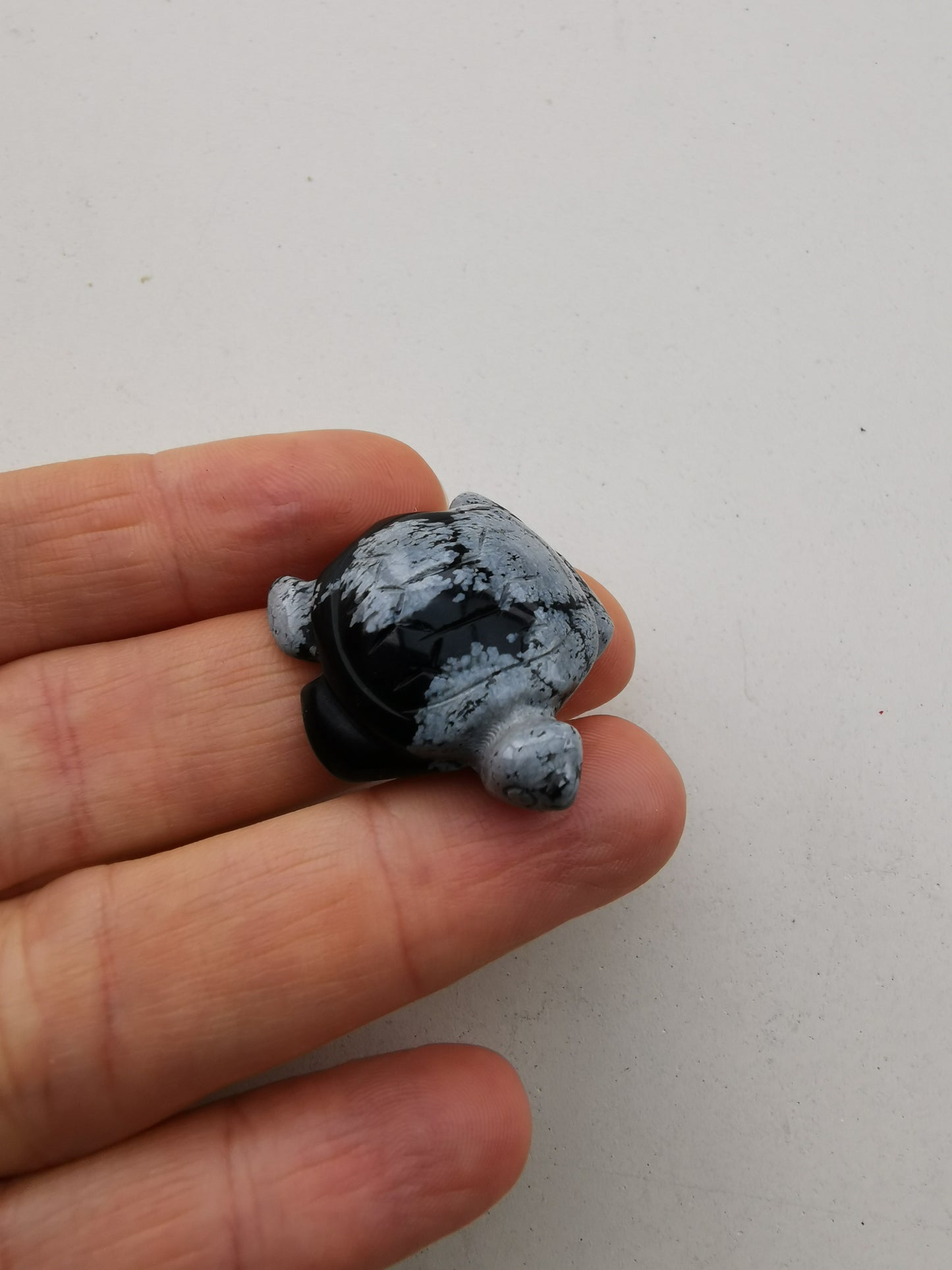 Obsidian Snefnug skildpadde