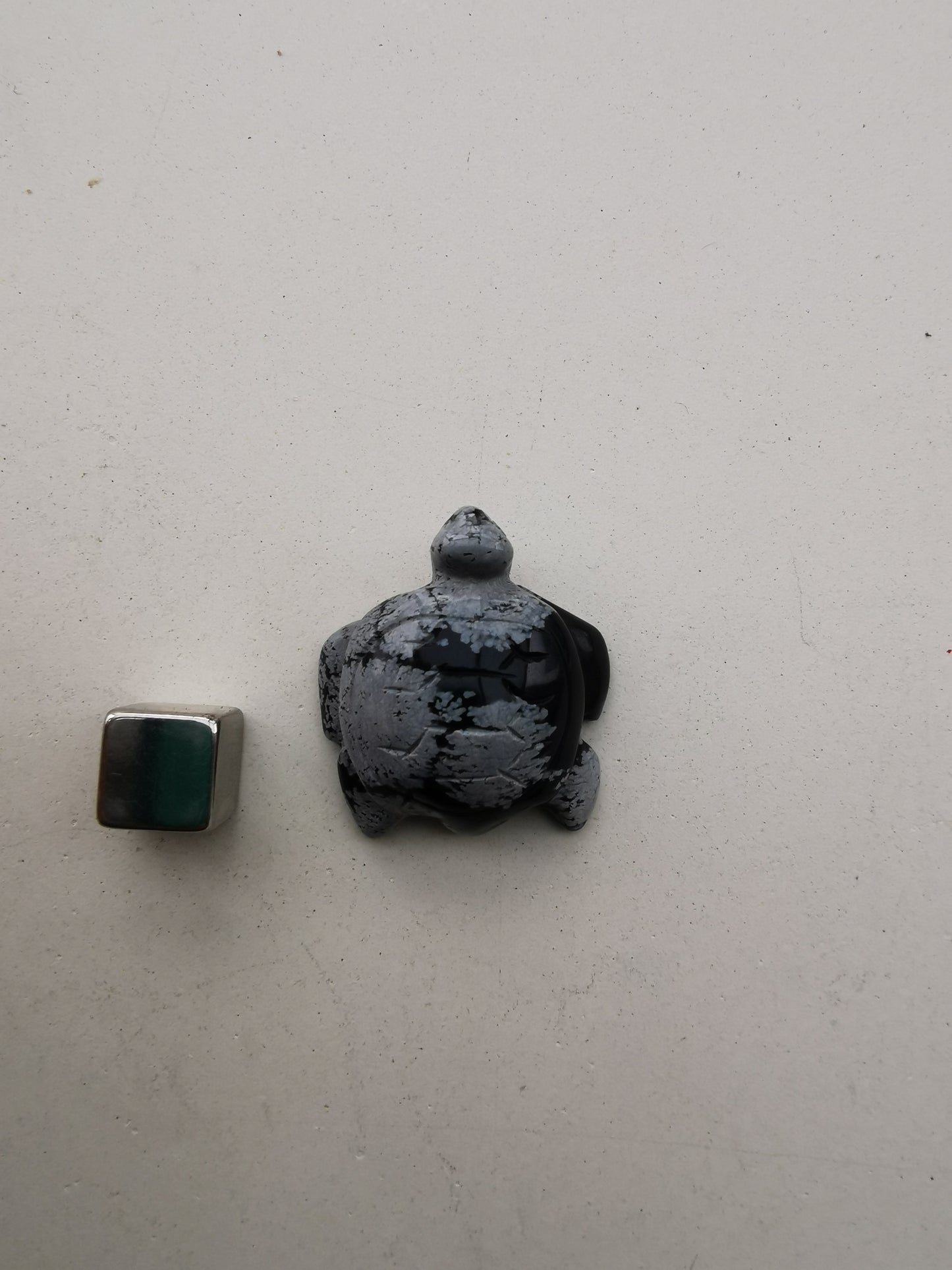 Obsidian Snefnug skildpadde