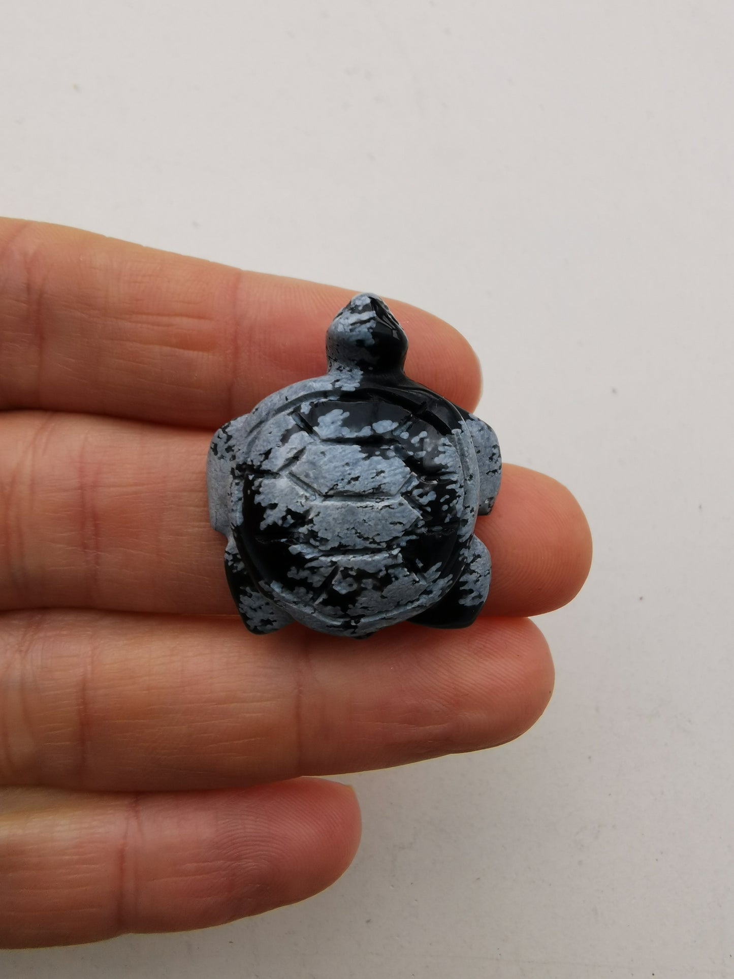 Obsidian Snefnug skildpadde