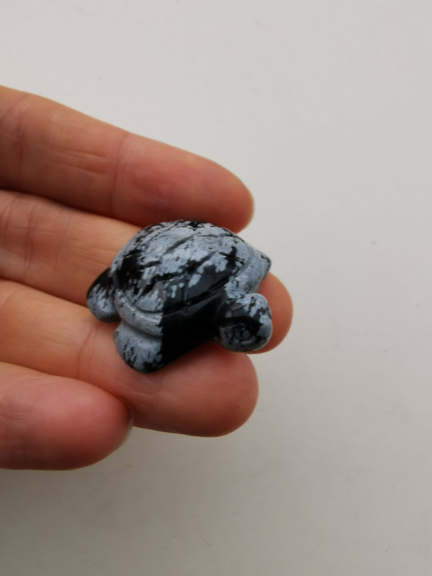 Obsidian Snefnug skildpadde