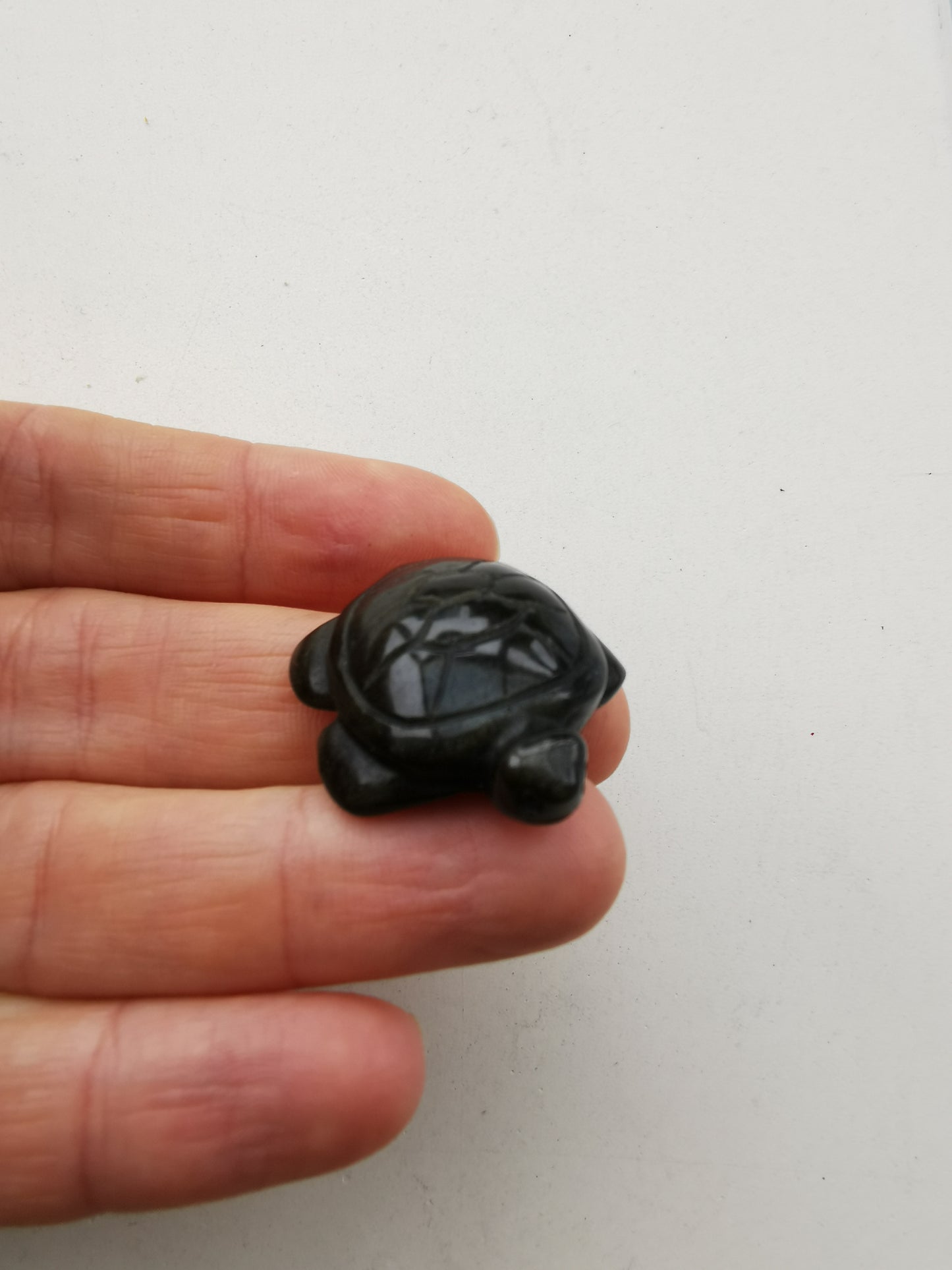 Obsidian Gylden skildpadde