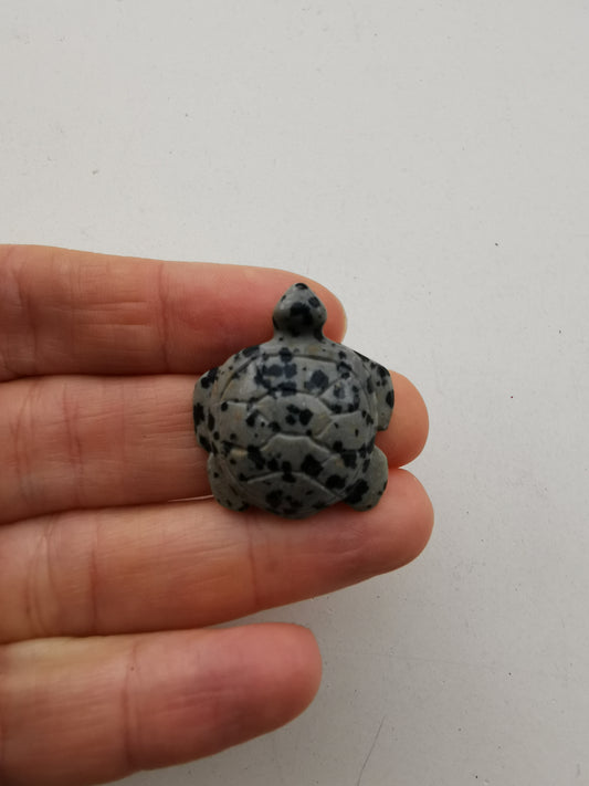 Dalmatiner skildpadde