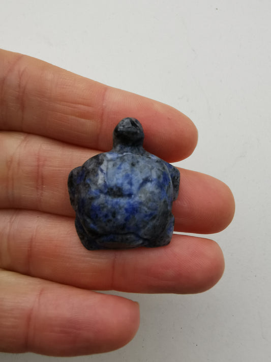 Lapis Lazuli skildpadde