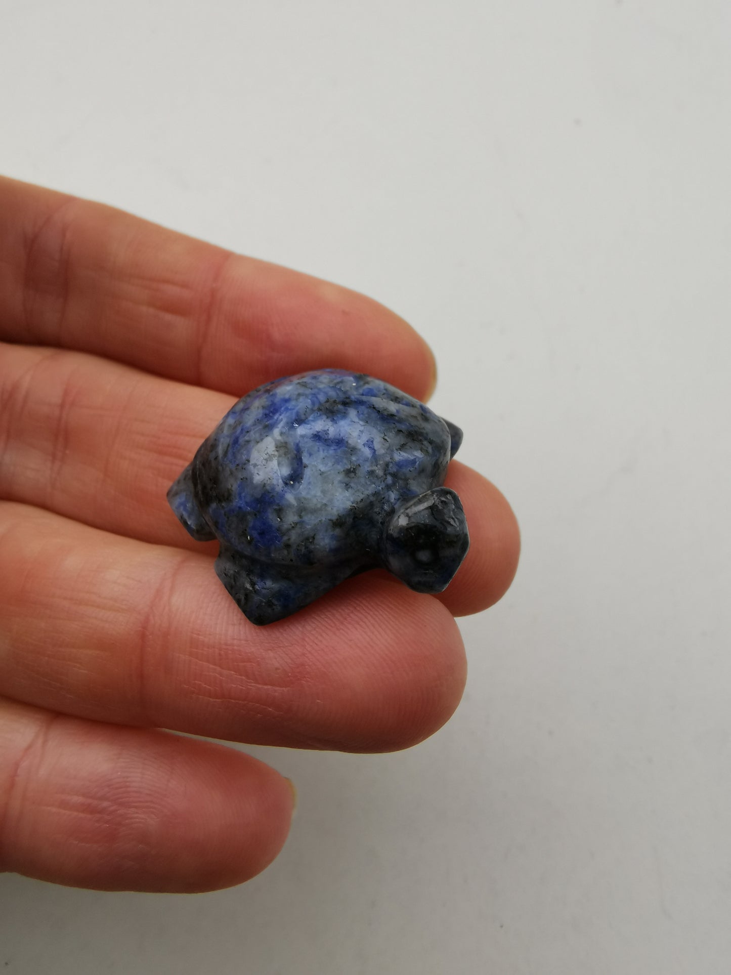 Lapis Lazuli skildpadde