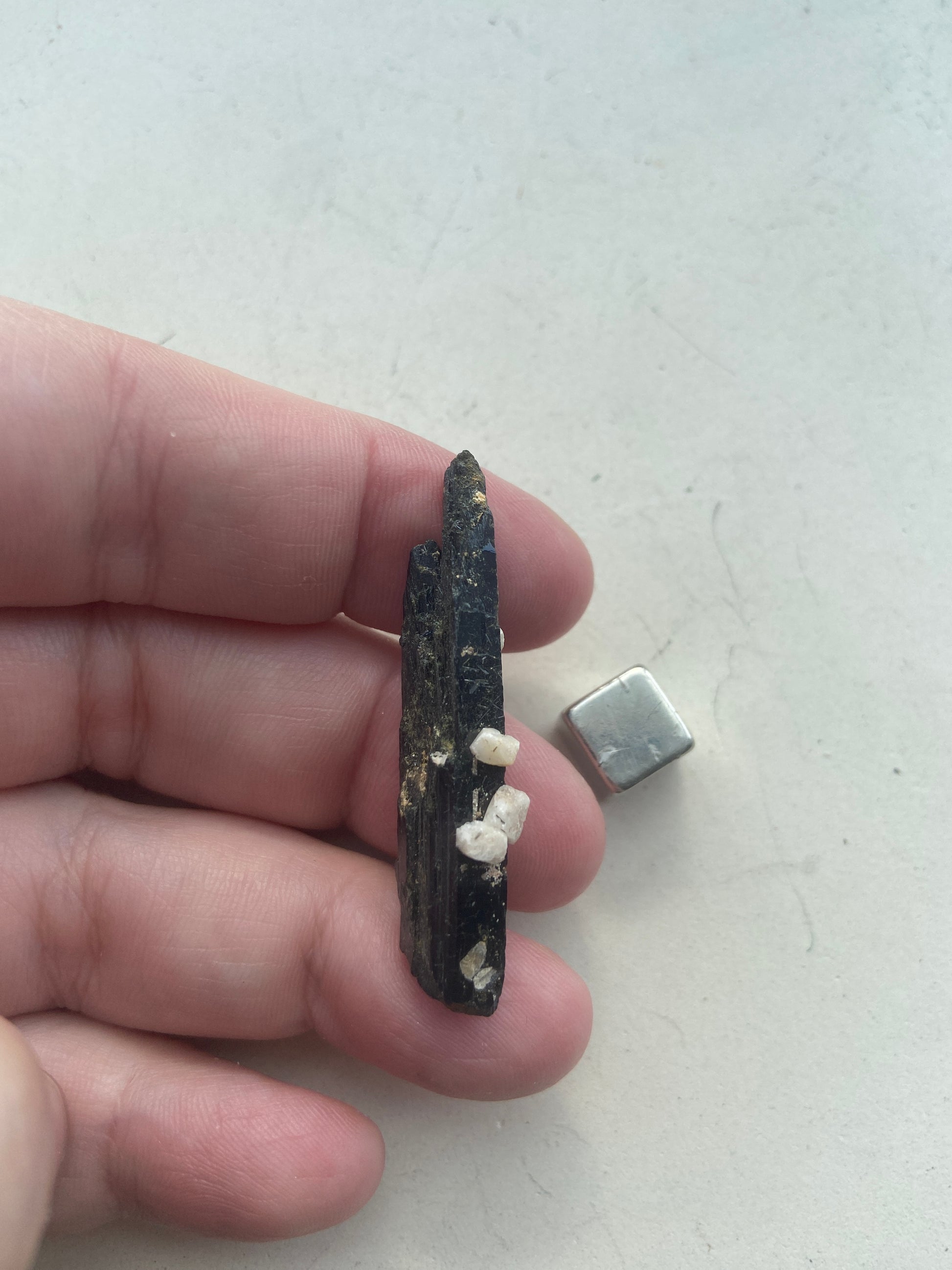 Ægirin – giver fokus, retning og dyb spirituel forankring.