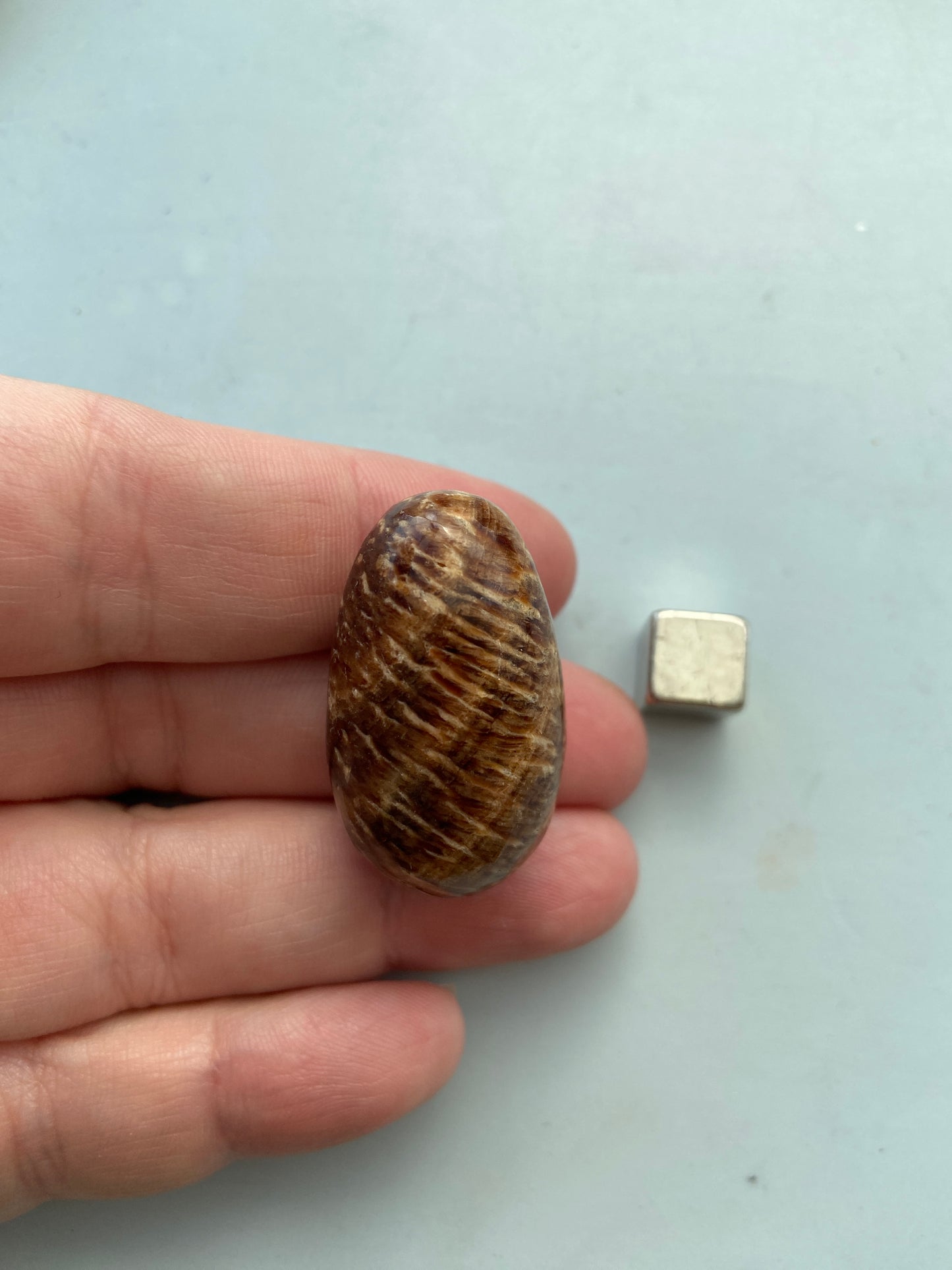 Aragonit – kraftfuld sjælehealer, der styrker indre ro og indre styrke.