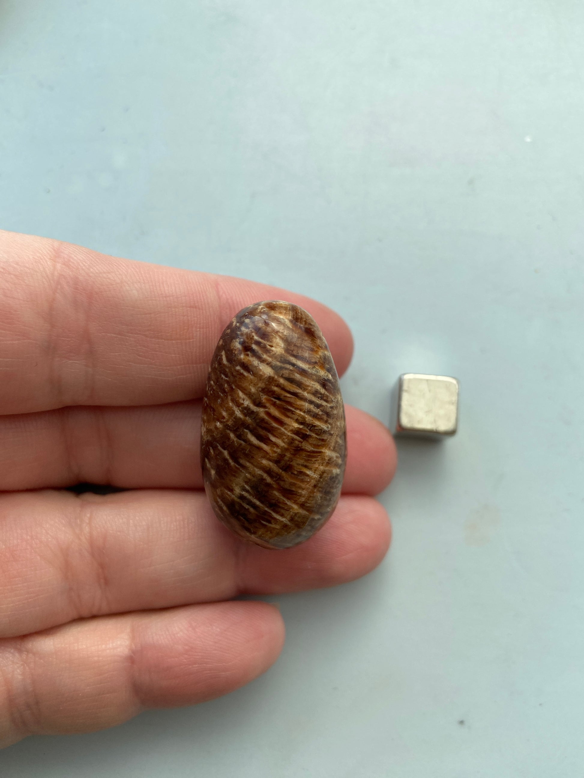 Aragonit – kraftfuld sjælehealer, der styrker indre ro og indre styrke.