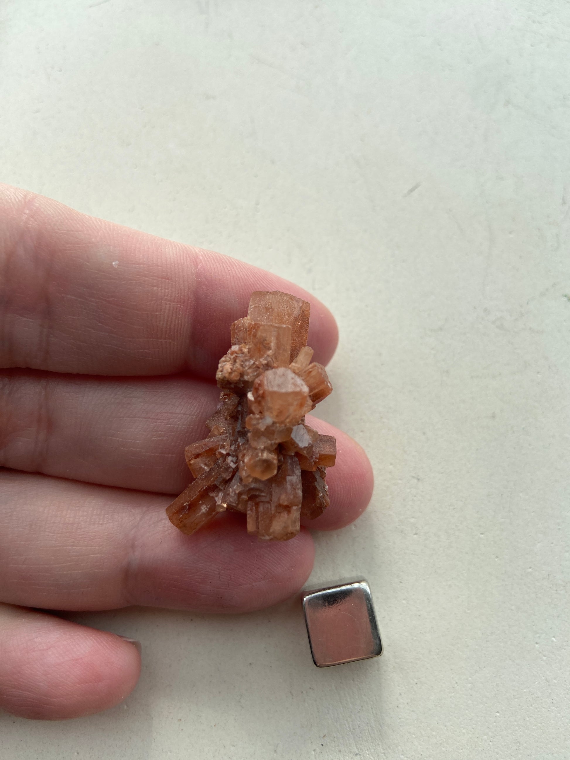 Aragonit – styrker indre mod, selvtillid og følelsesmæssig stabilitet.