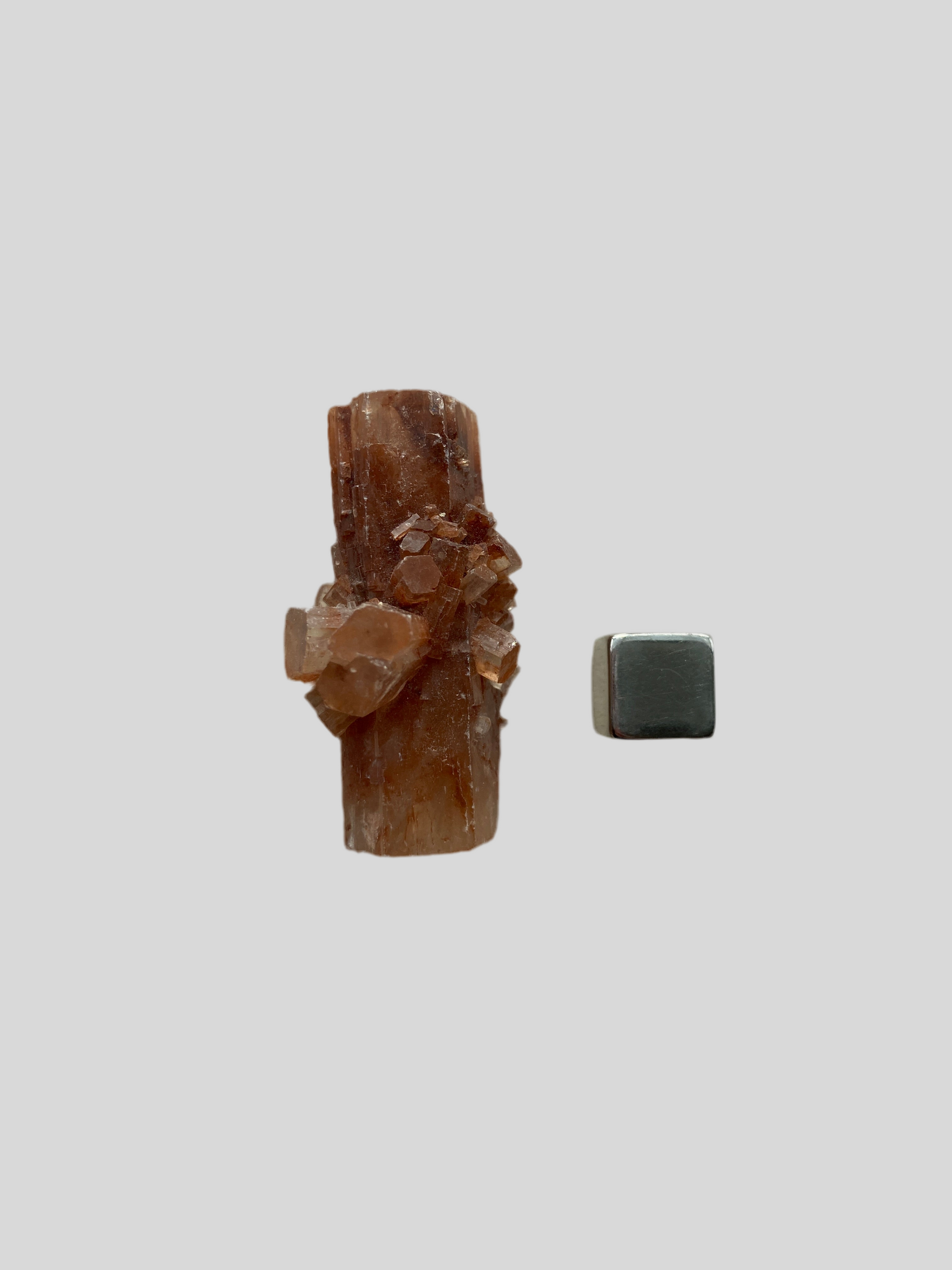 Aragonite – fremmer emotionel frigørelse, balance og indre ro.