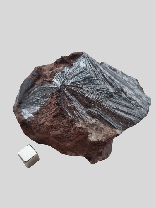 Astrophyllit