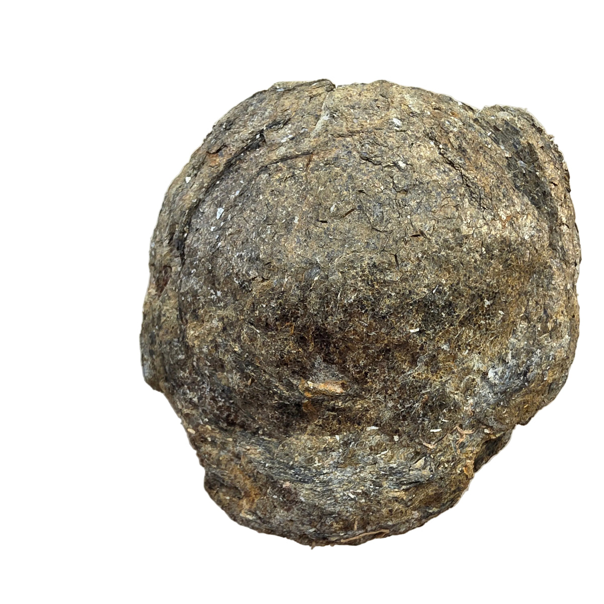 Biotit Linse 129 gram