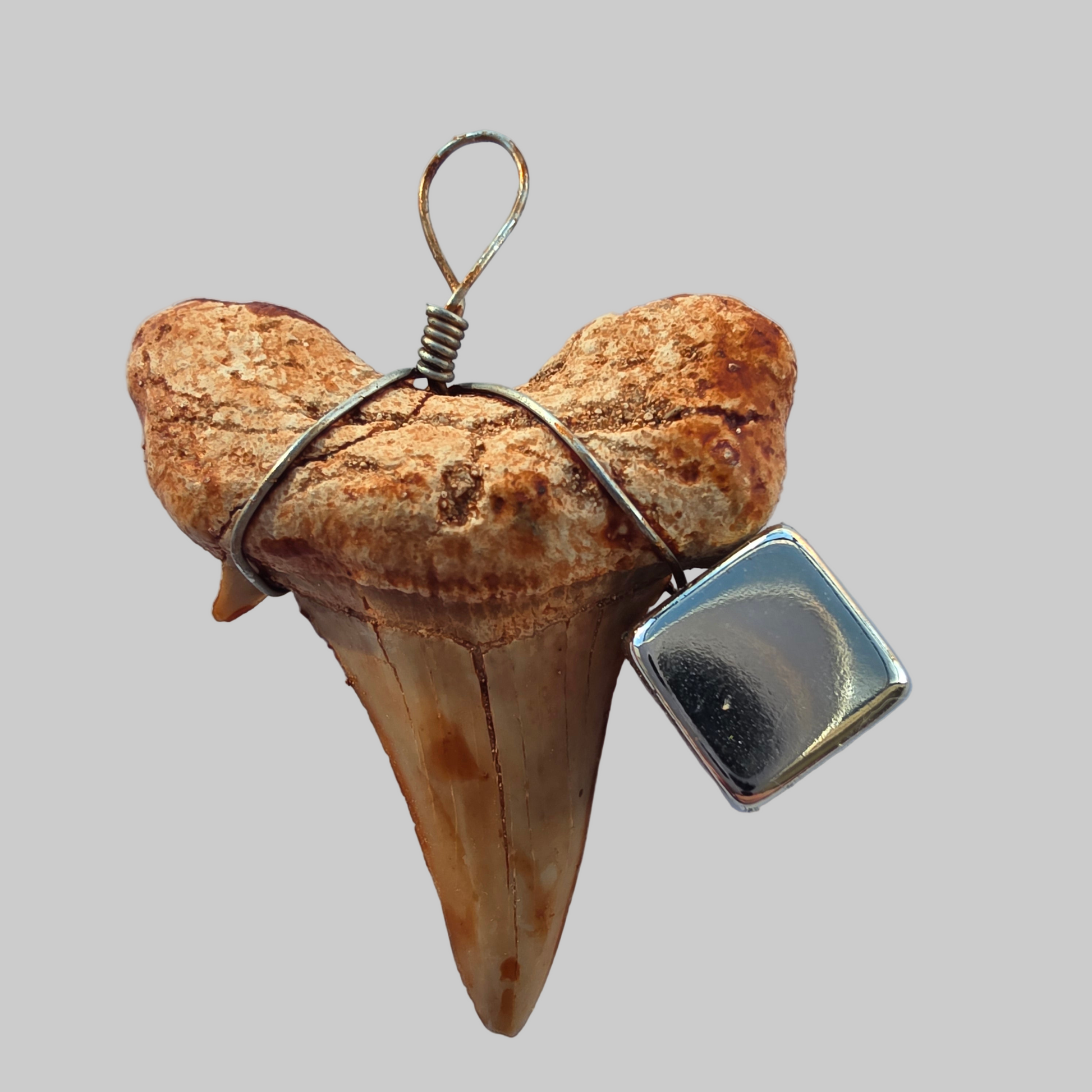 Hajtand vedhæng – smykke og amulet for mod, instinkt og beskyttelse