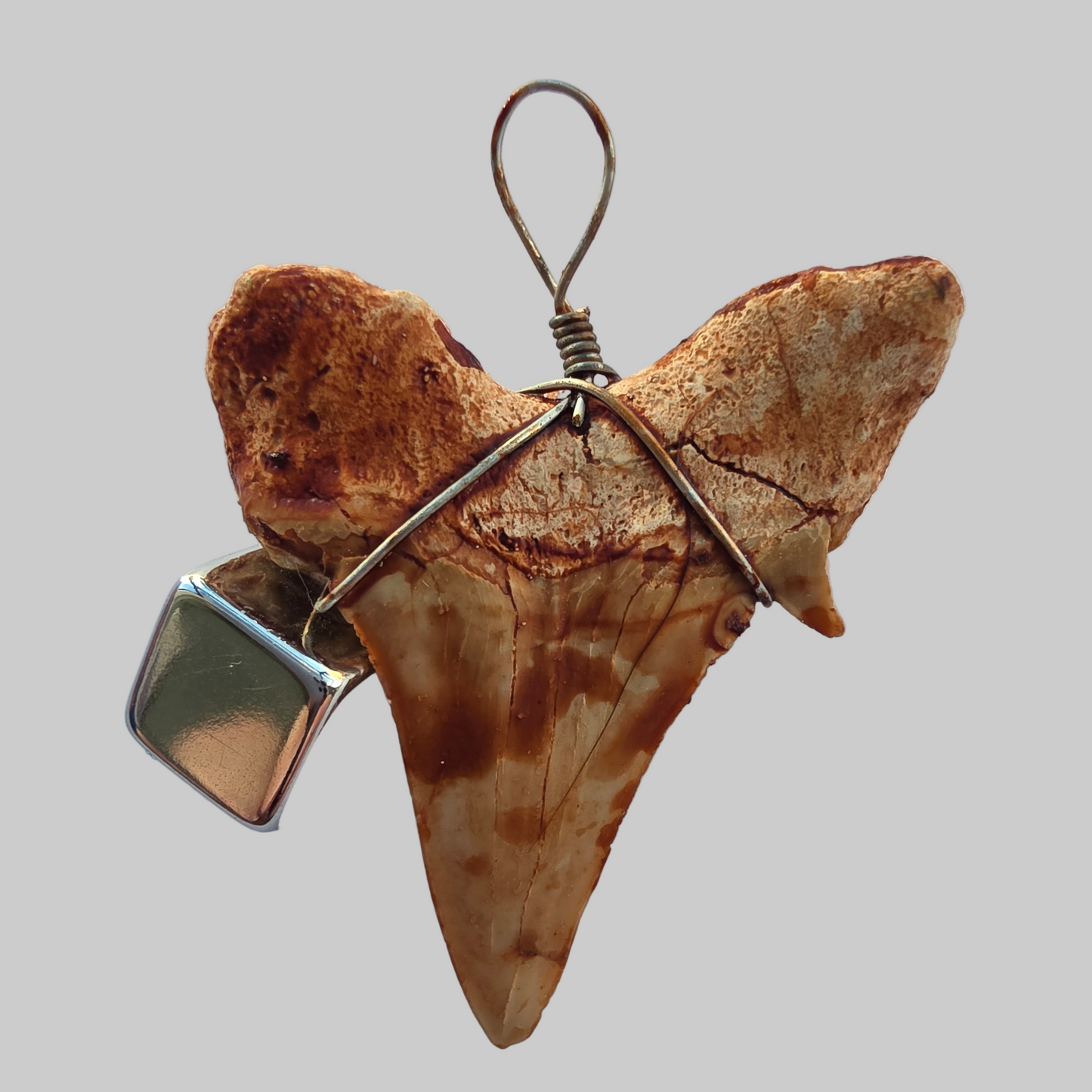 Hajtand vedhæng – smykke og amulet for mod, instinkt og beskyttelse