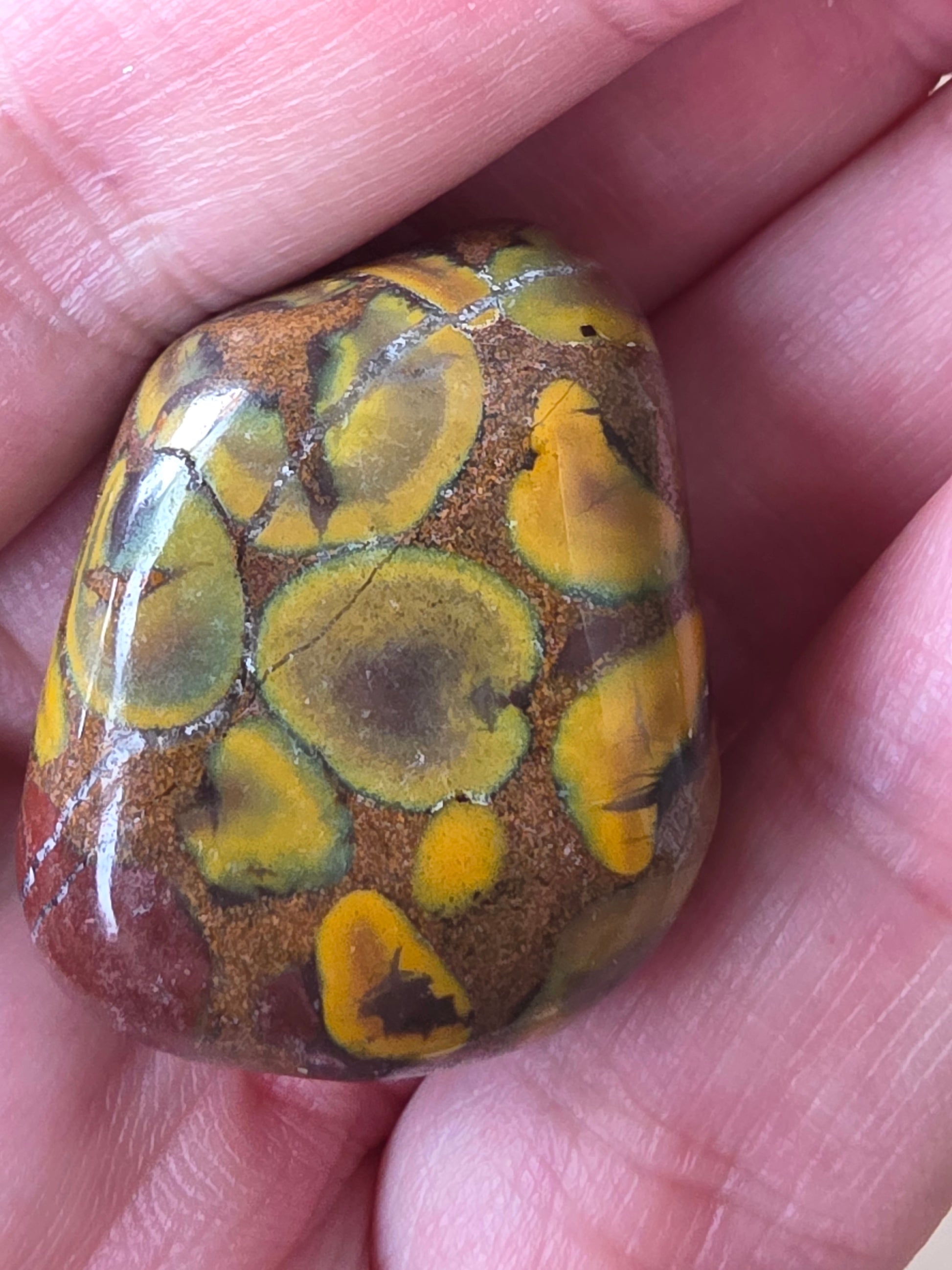 Jaspis Ajooba sten med beskyttende energi og følelsesmæssig stabilitet.