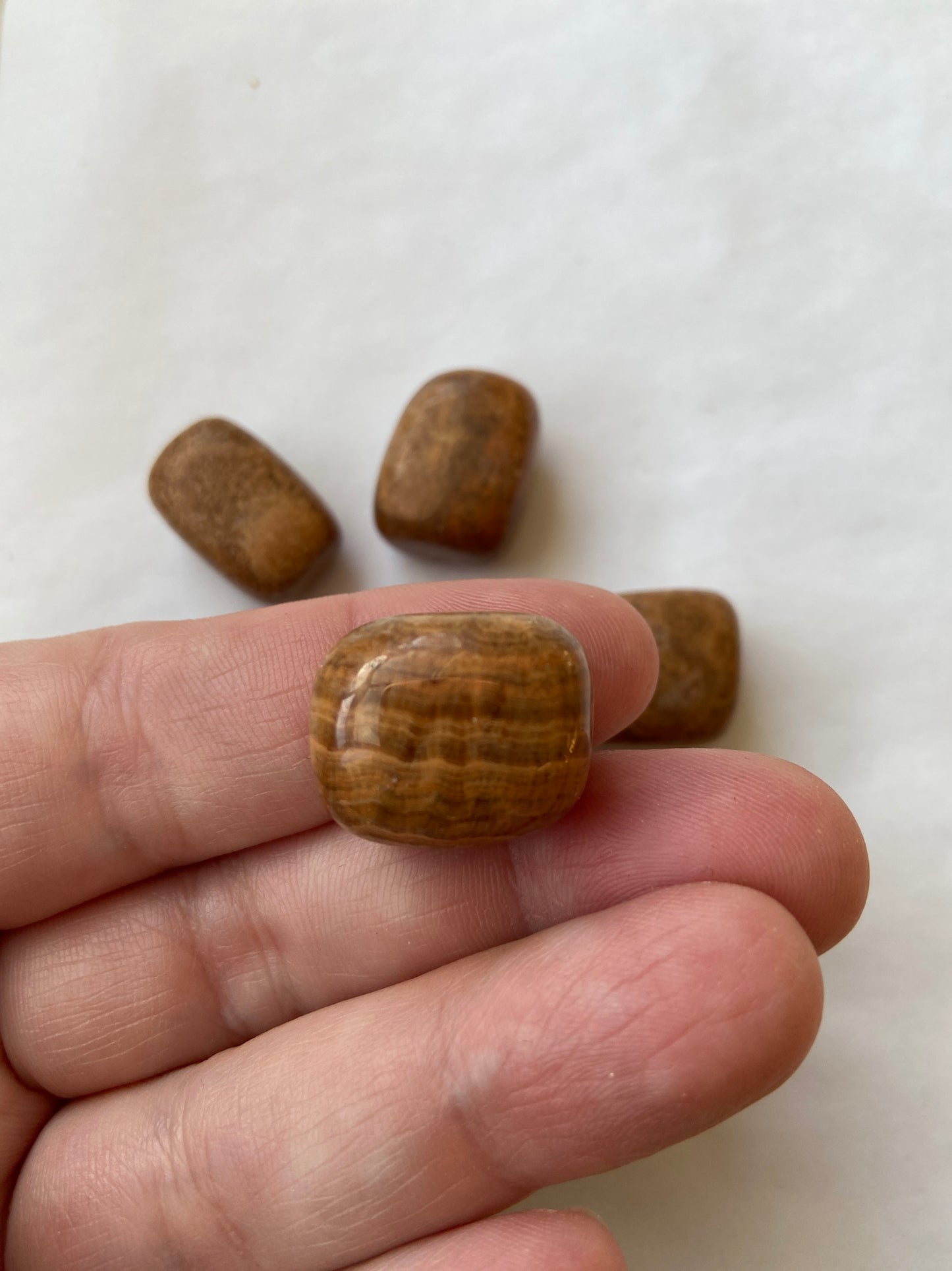 Jaspis Tigerskind krystaller – symbol på beskyttelse, udholdenhed og jordforbindelse