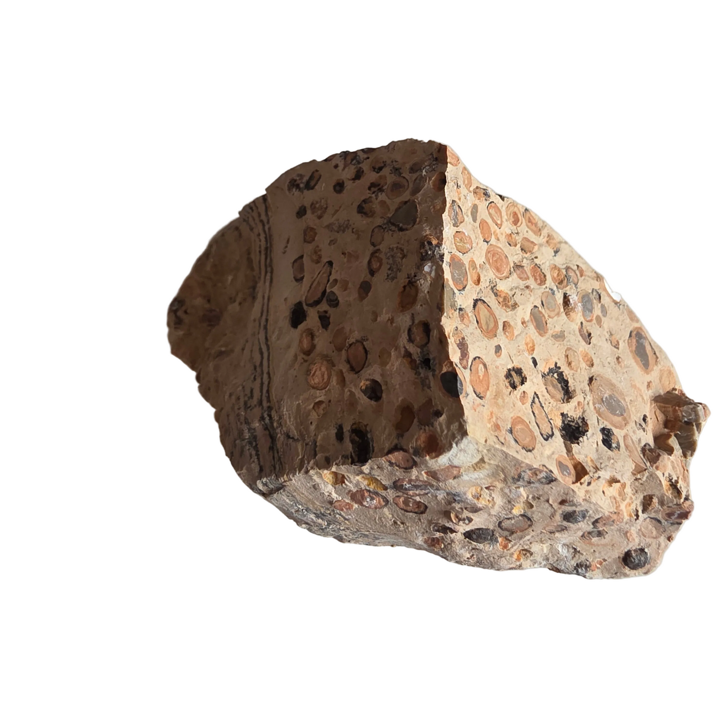 Leopardit krystal med naturligt mønster der symboliserer styrke og balance.