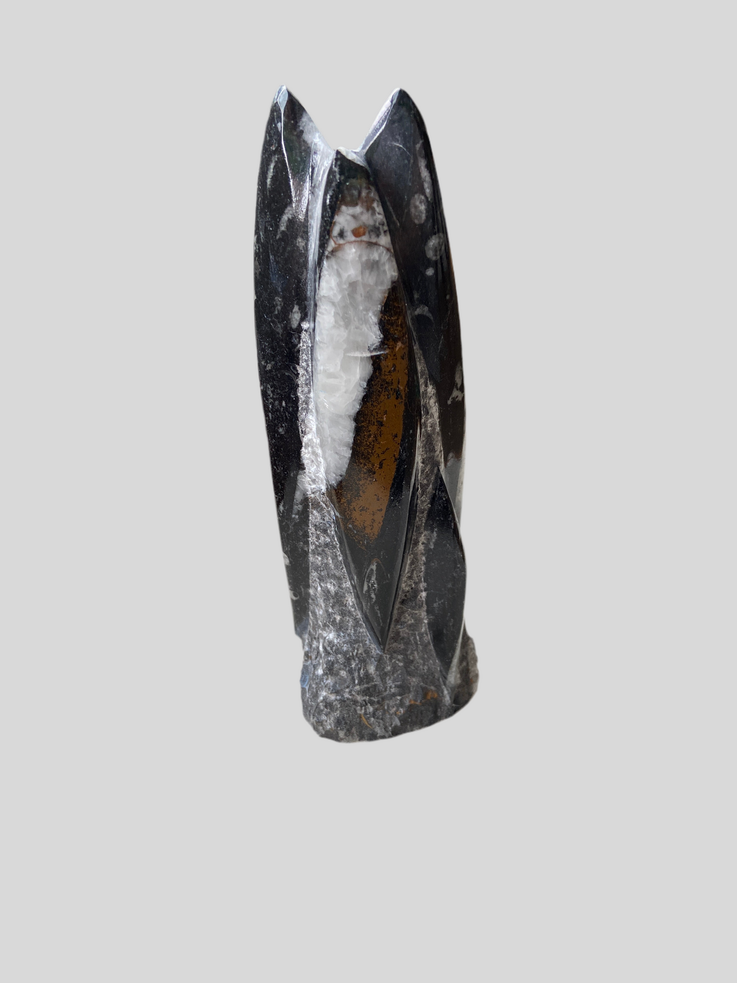 Orthoceras fossil – skaber stærk jordforbindelse og dyb indre ro.