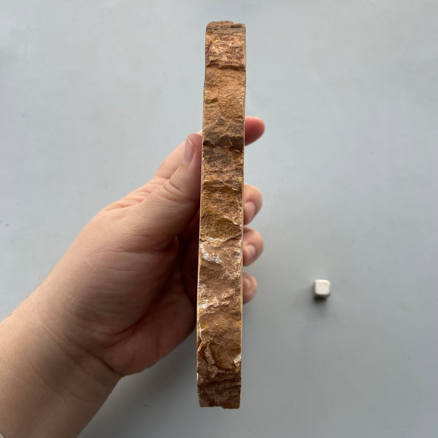 Petrified wood slab med naturligt fossil træmønster og grounding energi til meditation og indre ro.