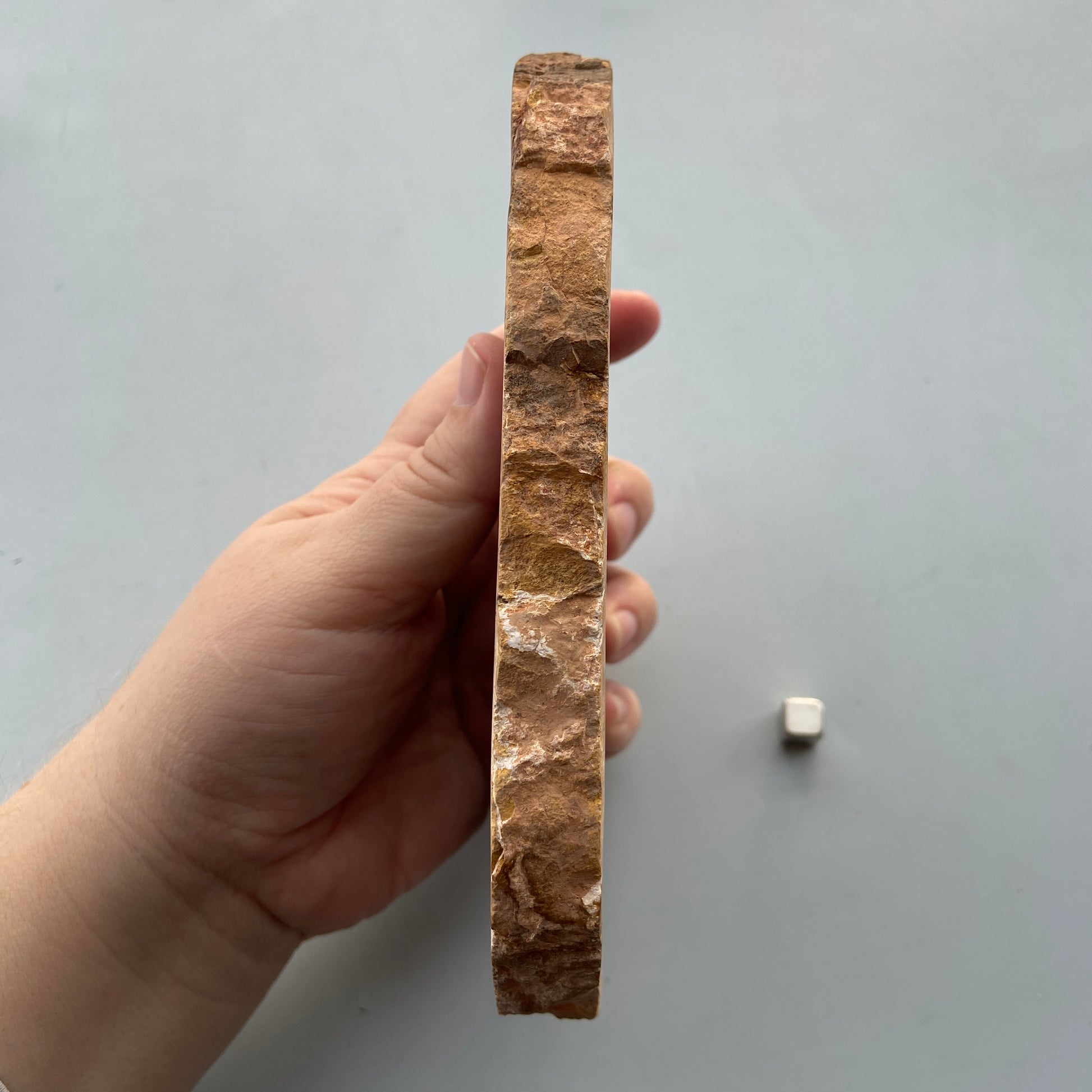 Petrified wood slab med naturligt fossil træmønster og grounding energi til meditation og indre ro.
