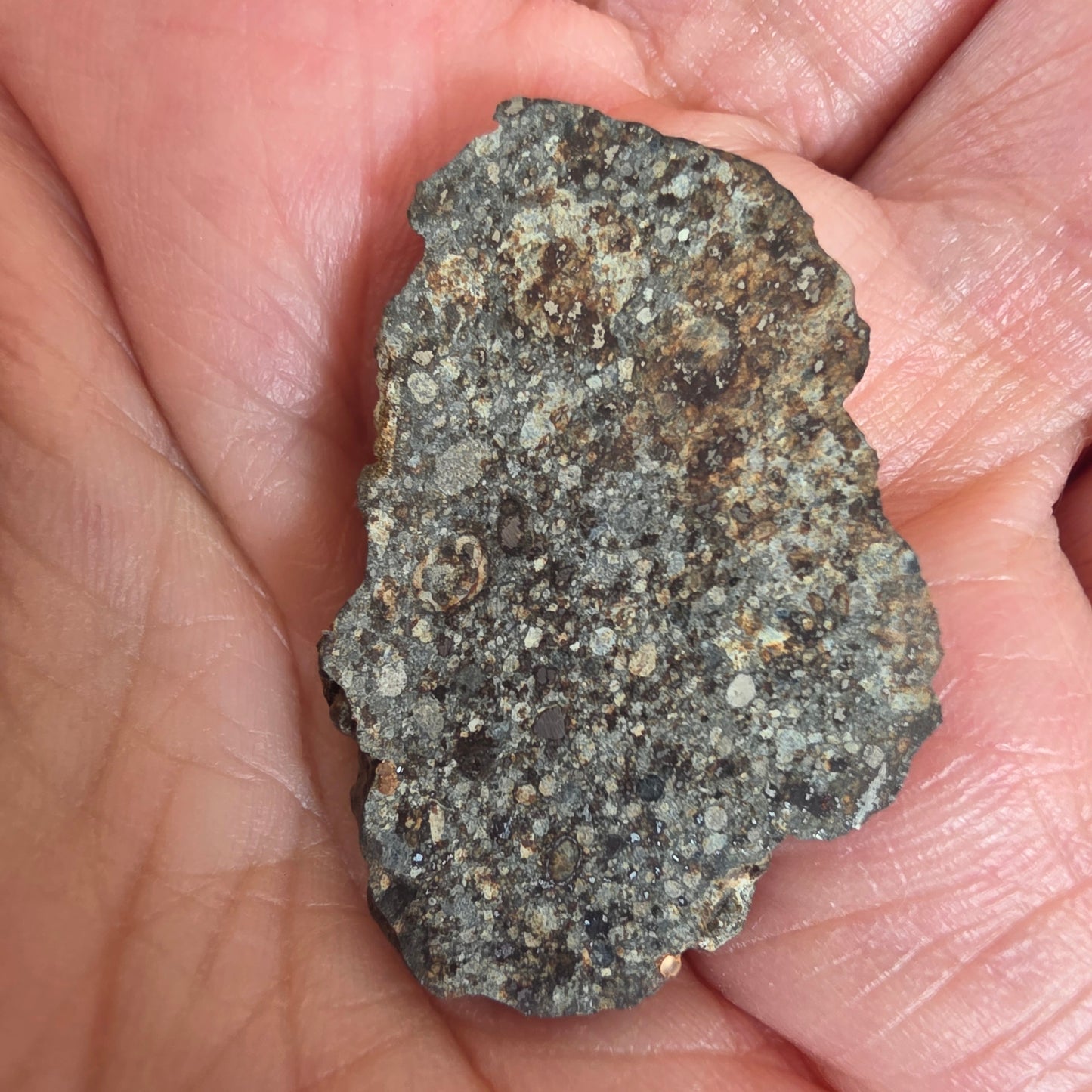 Meteorit