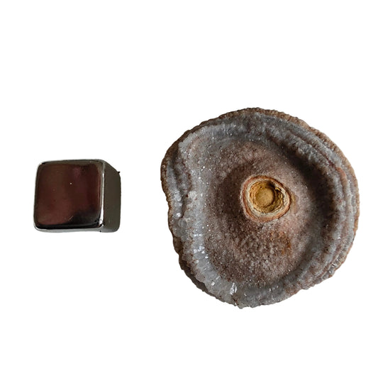 Chalcedon Rose