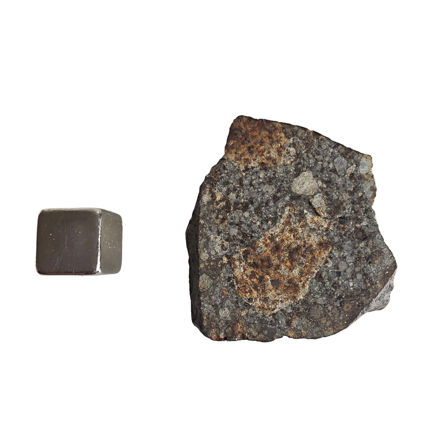 Meteorit