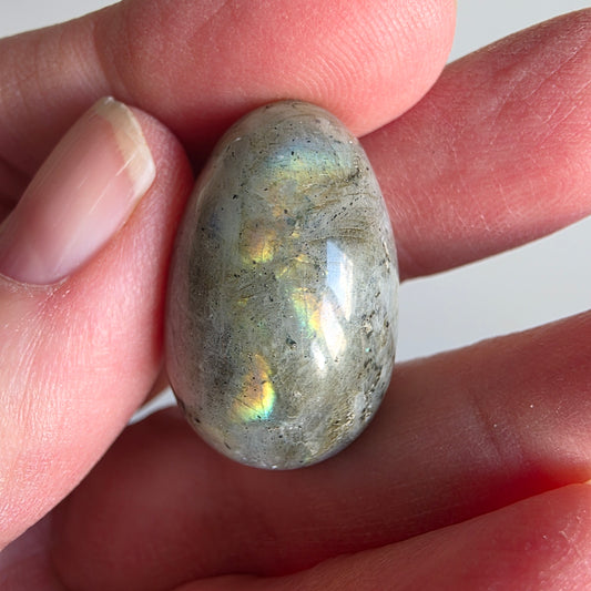 Labradorit Æg