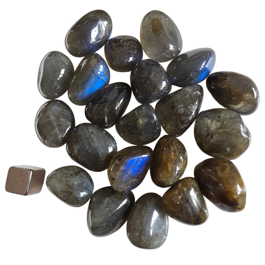Spektrolit storkøb 85 gram