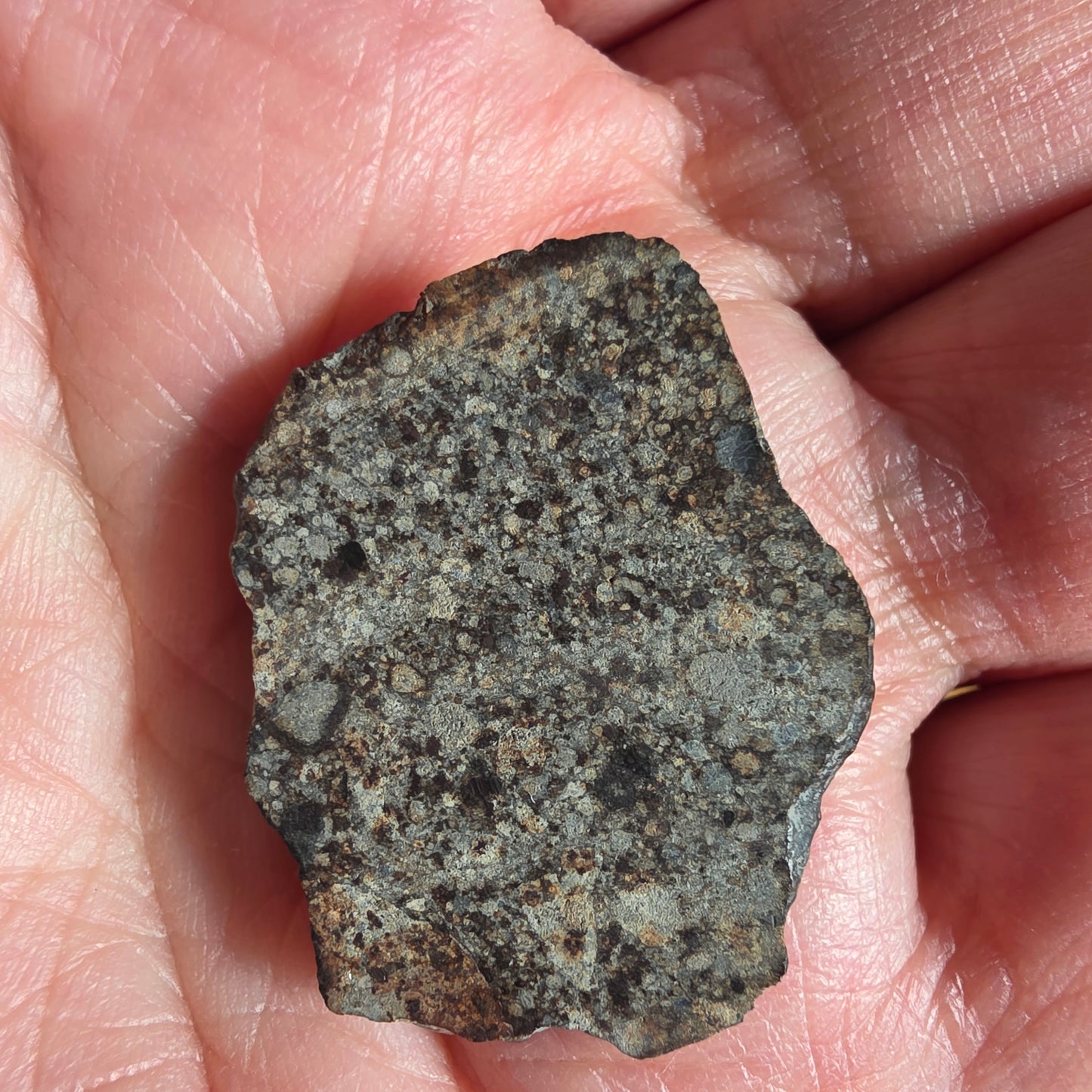Meteorit
