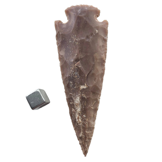 Pilespids Jaspis